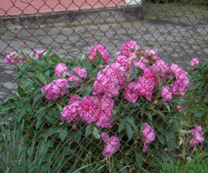 28_05 (86)