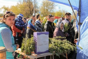 Yarmarok (13)